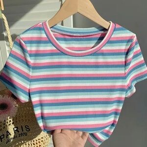 Ribbed Pink and Blue Crop T-Shirt